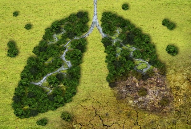 Climate Change and Childhood Lung Health